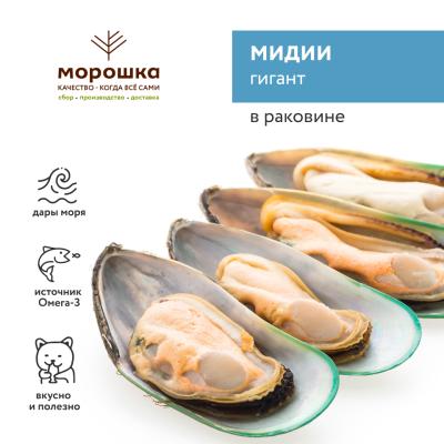 Мидии Гигант в раковине