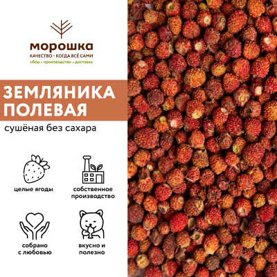 Земляника полевая сушеная (без сахара), 100 г