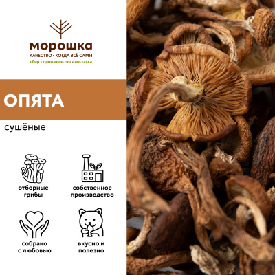 Опята сушеные, 200 грамм