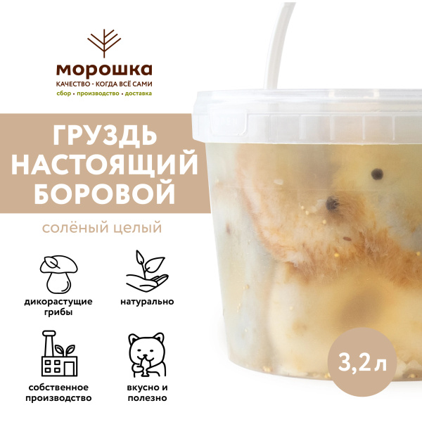 Груздь настоящий БОРОВОЙ соленый, целый, горячий посол, 3,2 л