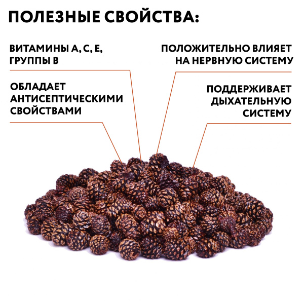 Сосновая шишка вяленая, 50 г