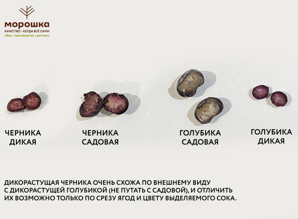 Голубика садовая замороженная