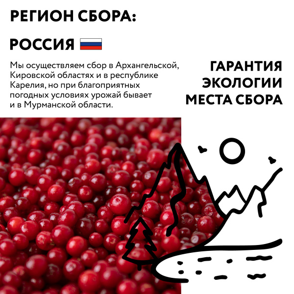 Брусника замороженная 250 г в прозрачной коробочке