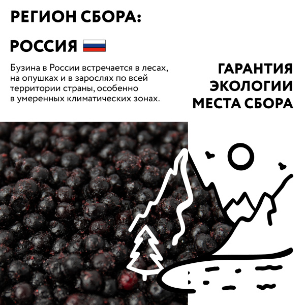 Бузина замороженная, 250 грамм