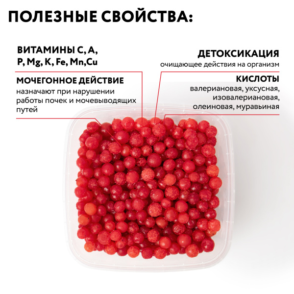 Калина замороженная 250 г в прозрачной коробочке