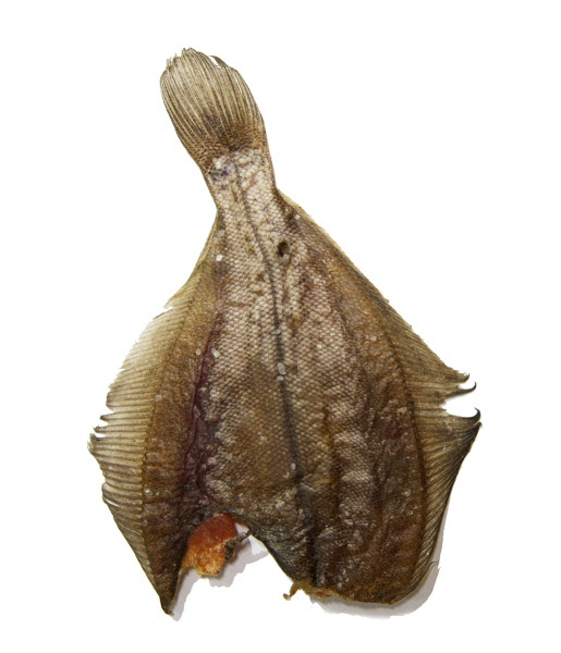 Ёрш вяленый б/г, замороженный