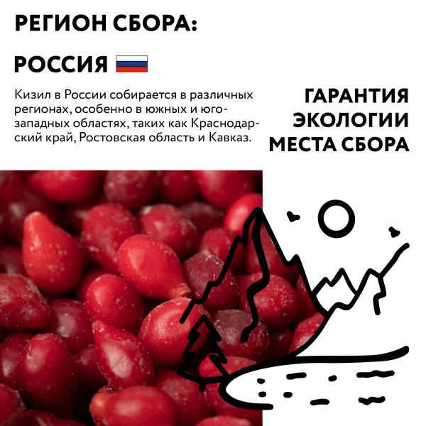 Кизил свежезамороженный 250 гр. в прозрачной коробочке