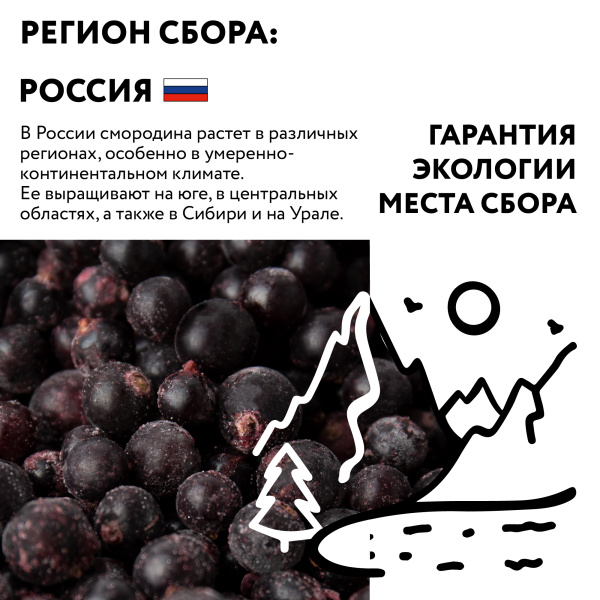 Смородина черная замороженная 250 гр. в прозрачной коробочке