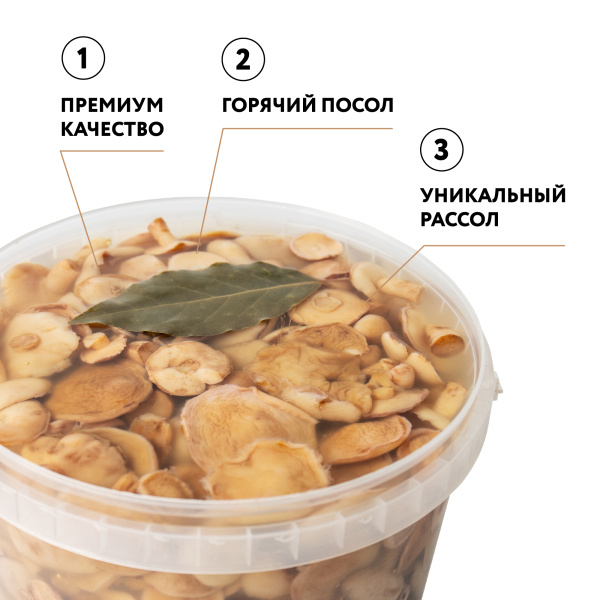 Масленок соленый, 3,2 л, горячий посол