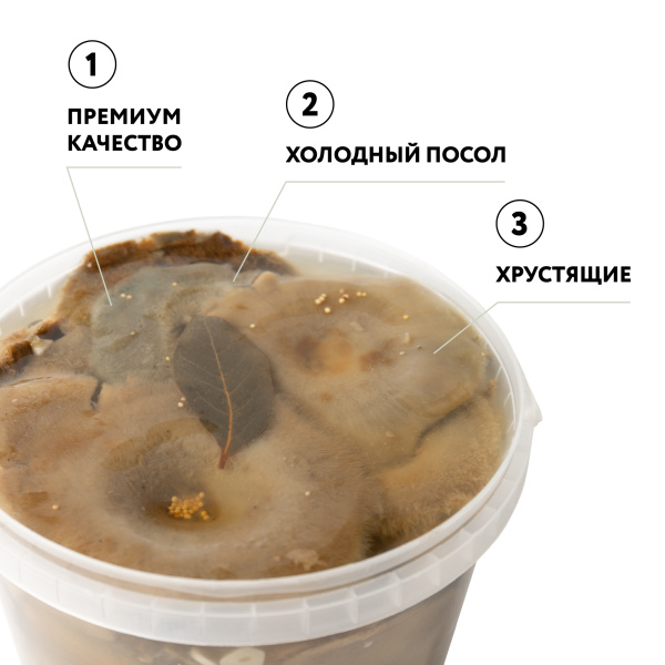 Груздь настоящий солёный целый, 3,2 л