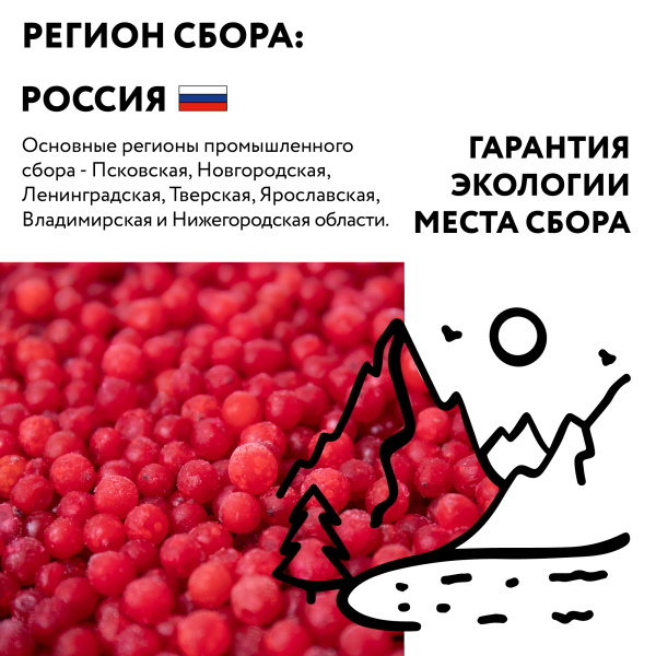 Калина замороженная 250 г в прозрачной коробочке