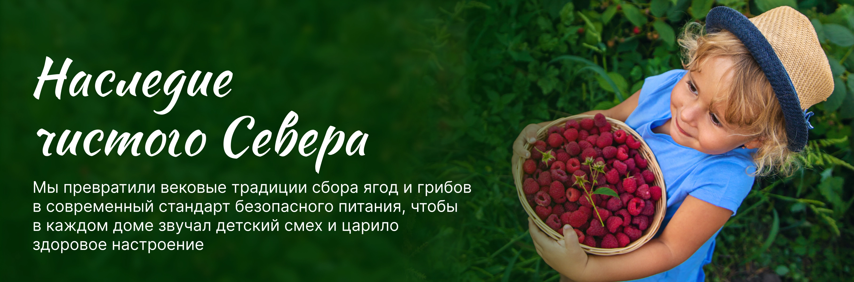 О компании