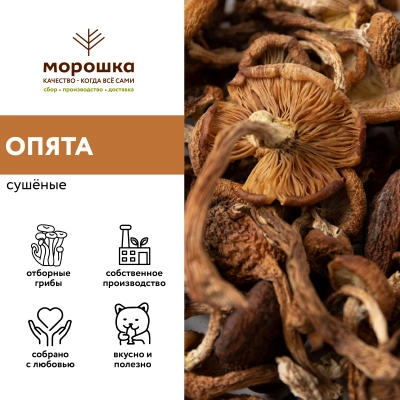 Опята сушеные, 200 грамм