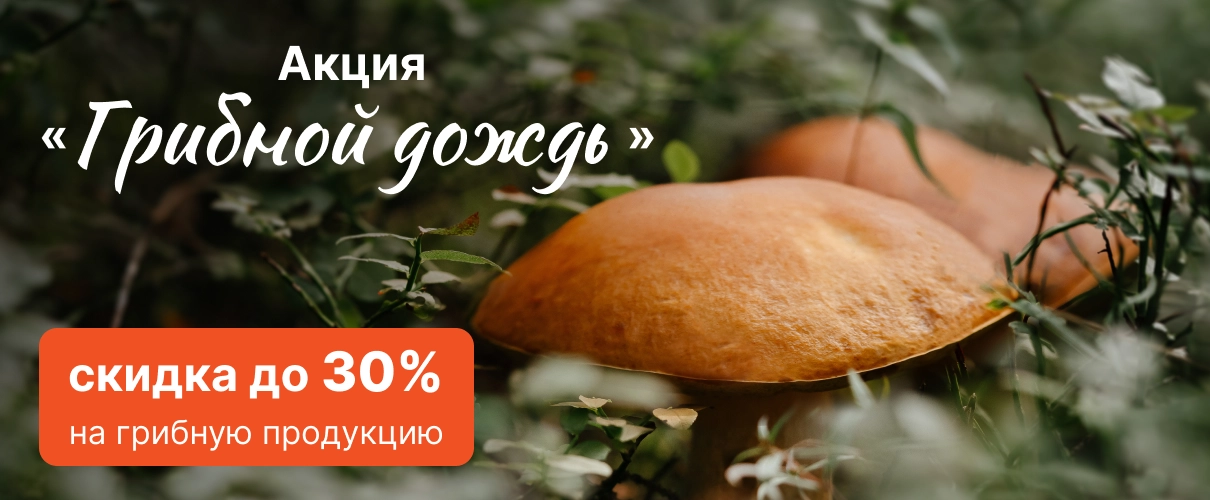 Грибные дожди в Морошке!