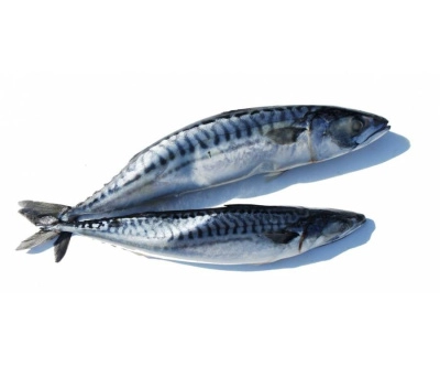 Скумбрия целая (Россия) 1кг.