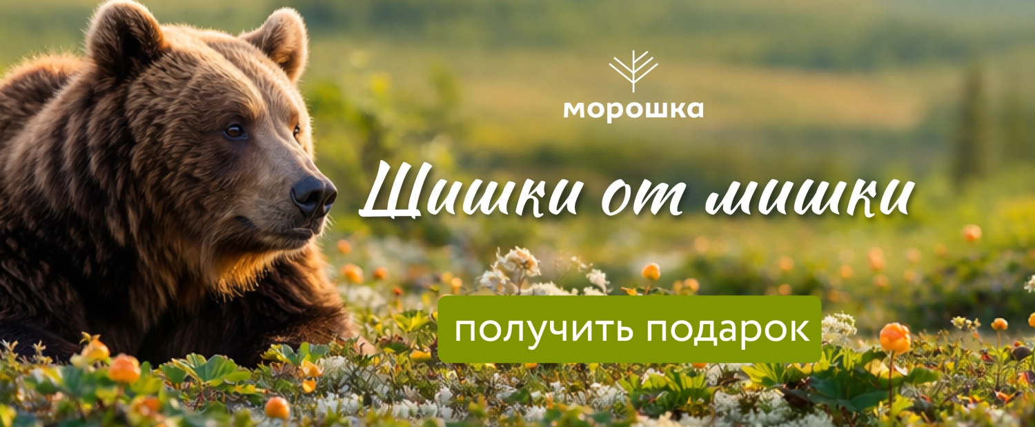 Шишки от мишки