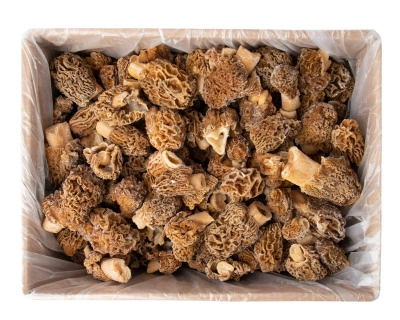 Гриб сморчок 0,5 кг, "Экстра"