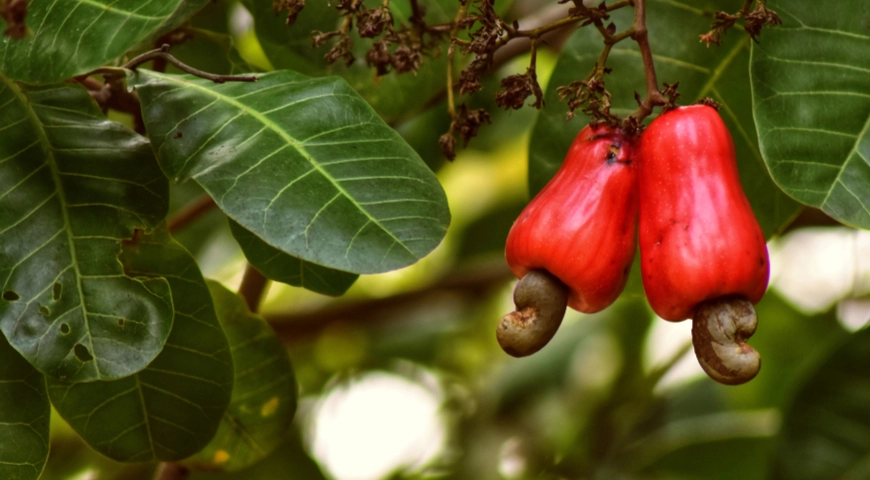 b2e0ed5c.jpg b2e0ed5c.jpg