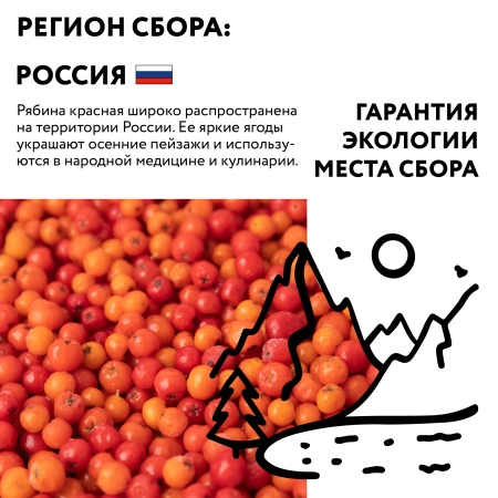 Рябина красная замороженная, 250гр.