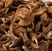 Опята сушеные, 100 грамм