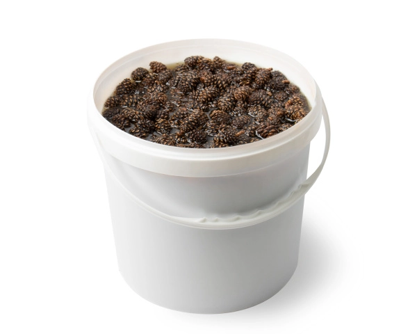 Варенье из сосновых шишек, 6 кг