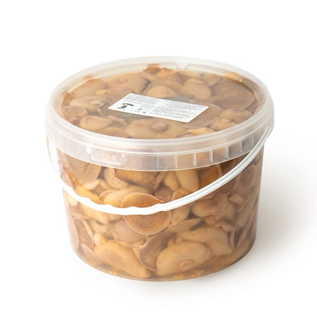 Масленок соленый, 3,2л