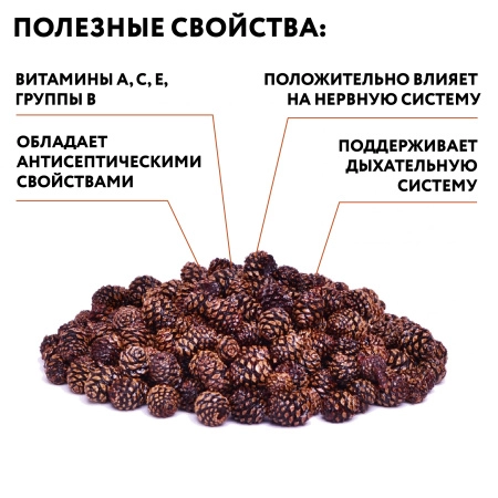 Сосновая шишка вяленая, 50гр.