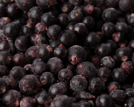 Смородина черная замороженная 250 гр. в прозрачной коробочке