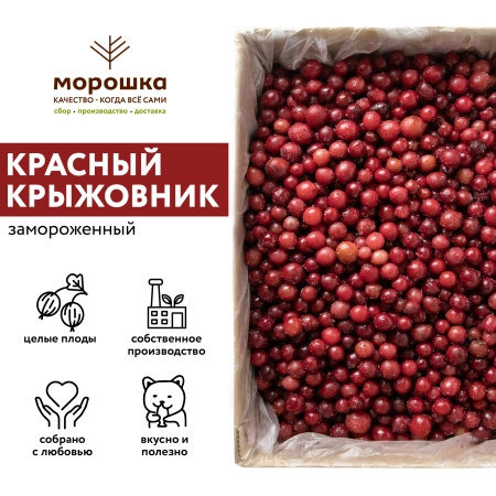 Крыжовник красный замороженный, 250гр