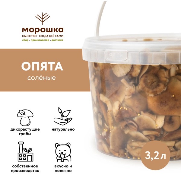 Опята соленые, горячий посол, 3,2 л