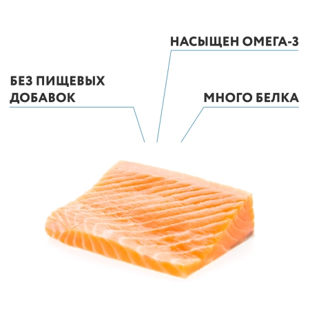 Кета филе с кожей (Россия), 1 кг