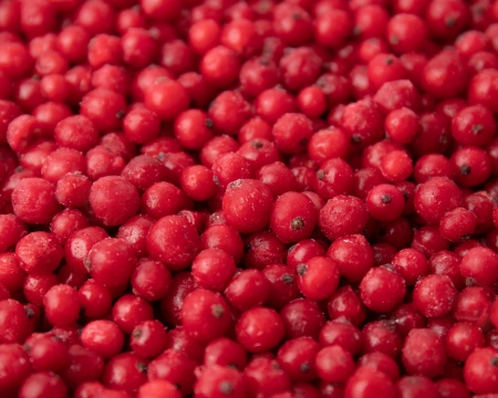 Смородина красная замороженная 1 кг. п/п пакет