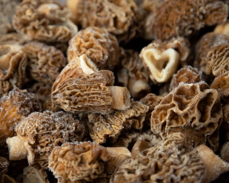 Гриб сморчок 5 кг