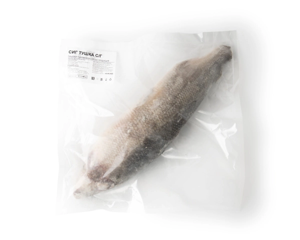 Сиг замороженный, непотрошеный