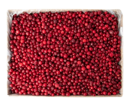 Клюква дикорастущая ЭКСТРА 10 кг. коробка