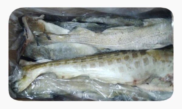 Треска потрошеная б/г