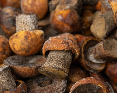 Подосиновик замороженный 3-4 см, 1кг