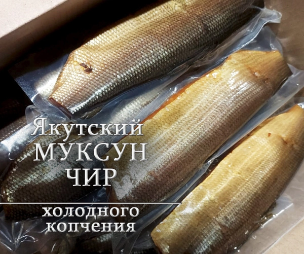 Чир, спинка холодного копчения (400-500 грамм)