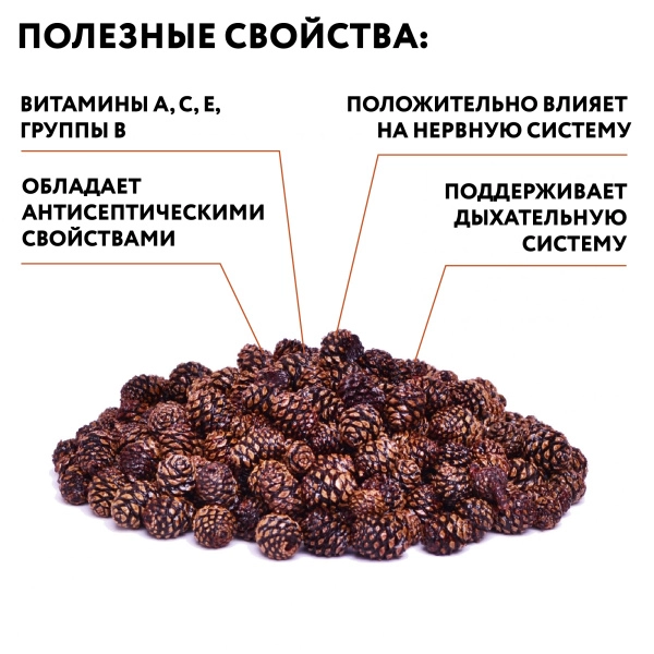 Сосновая шишка вяленая, 1 кг