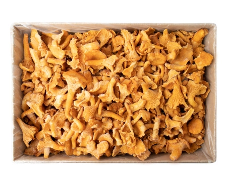 Грибы лисички замороженные, 1кг