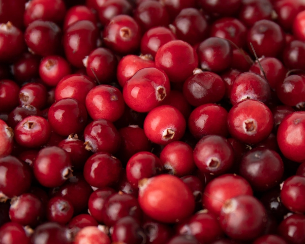 Клюква свежая 1 л