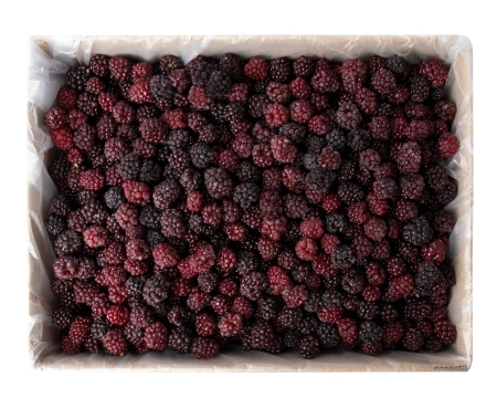 Ежевика замороженная, 13 кг