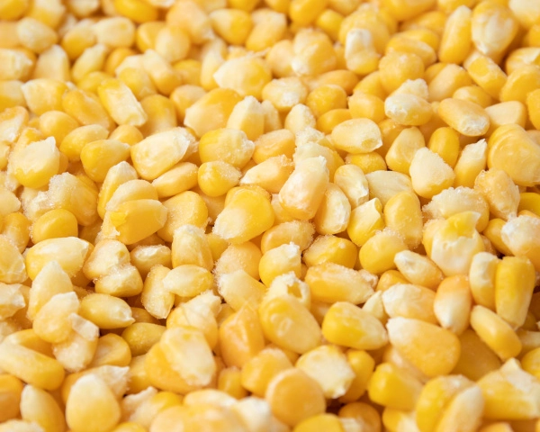 Кукуруза 1 кг. п/п пакет