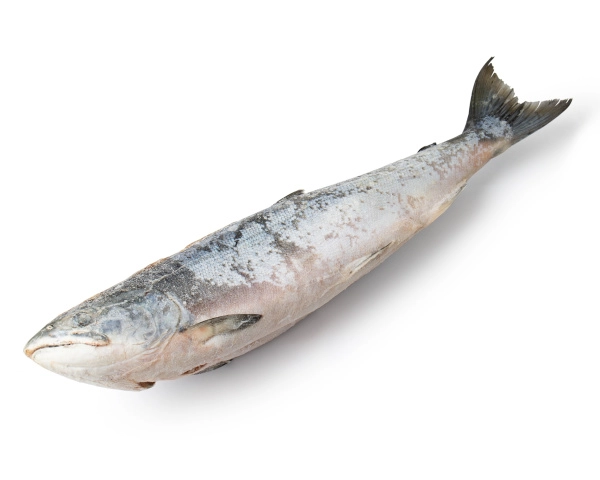 Кижуч потрошеный c/г