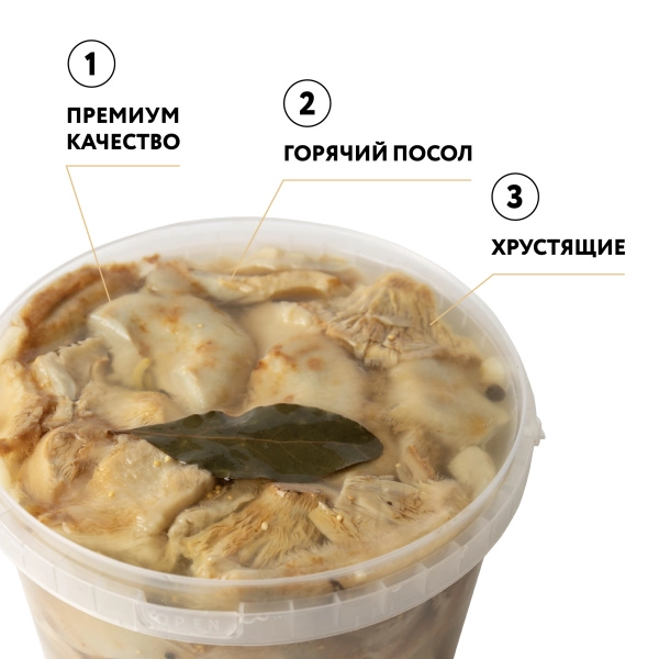 Груздь настоящий БОРОВОЙ соленый, резаный, горячий посол, 3,2 л