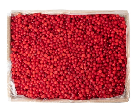 Калина замороженная 250 гр. в прозрачной коробочке