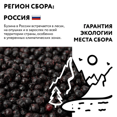 Бузина замороженная, 1 кг