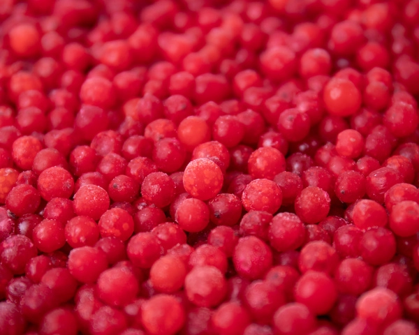 Калина замороженная 250 гр. в прозрачной коробочке