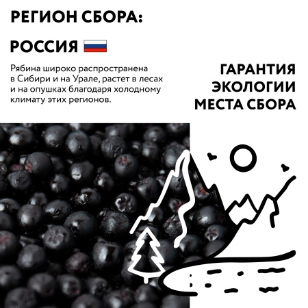 Черноплодная рябина замороженная 250гр.