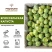 Брюссельская капуста 10 кг.коробка